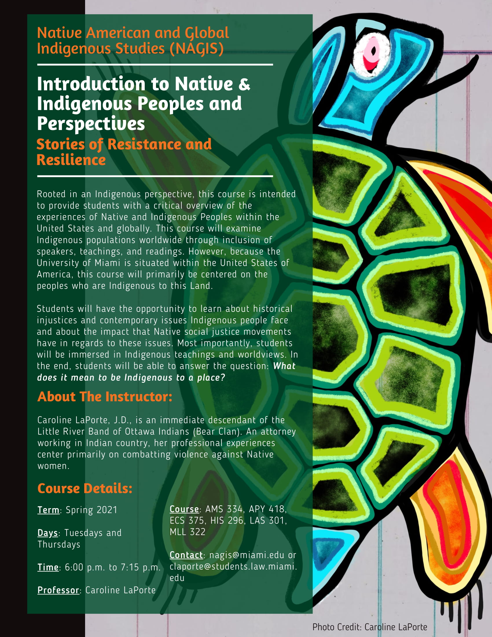 NAGIS Course Flyer